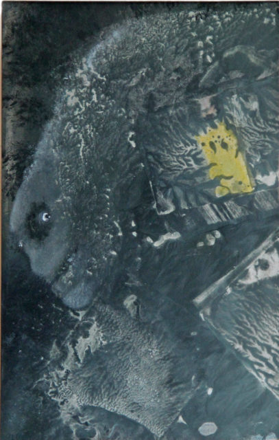 Šmírák, 2009, 38 x 30 cm, olej na kartonu / k prodeji / č. 55