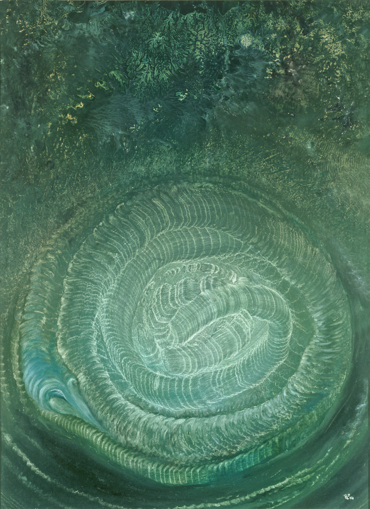 Starý had, 1996, 66 x 50 cm, olej na kartonu / v soukromé sbírce / č. 82