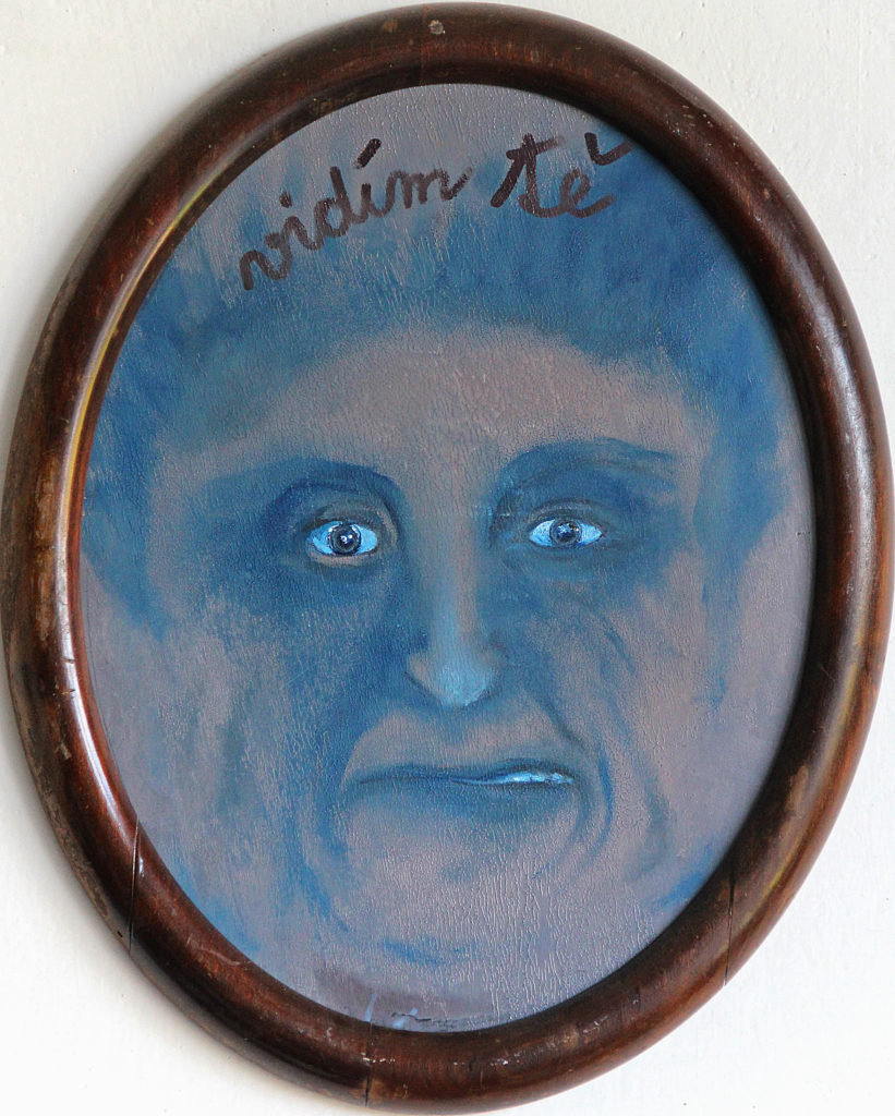 Maska schizofrenie, 2013, 33 x 27 cm - elipsa, olej na kartonu / v soukromé sbírce / č. 98