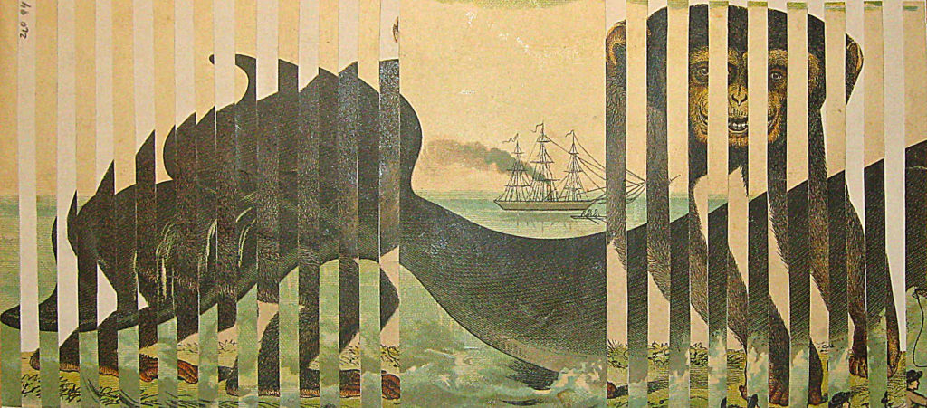 Mořský pán, 1994, 12 x 31 cm, koláž / v soukromé sbírce / č. 280
